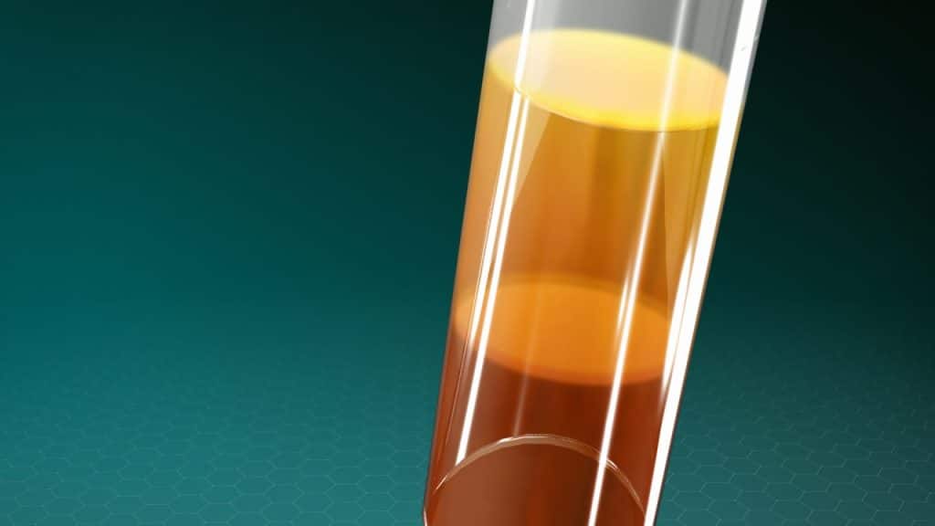 Biologisch aktive Proteine werden aus Blutzellen erzeugt