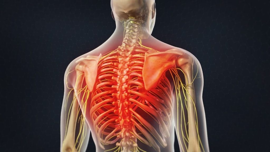 Costotransverse Joint Block
