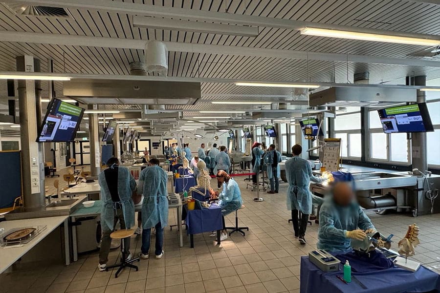 «Семинар по интервенционной терапии позвоночника» (BoWis-Course)Бохум, 30 - 31 aвгустa 2024