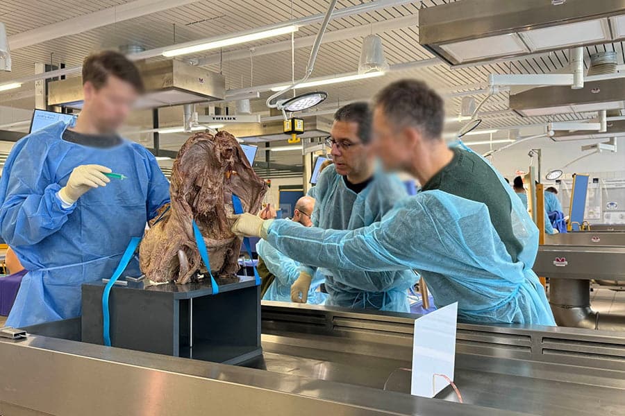 «Σεμινάριο Επεμβατικών Θεραπειών στη Σπονδυλική Στήλη»Bochum, 23 – 24 Φεβρουαρίου 2024