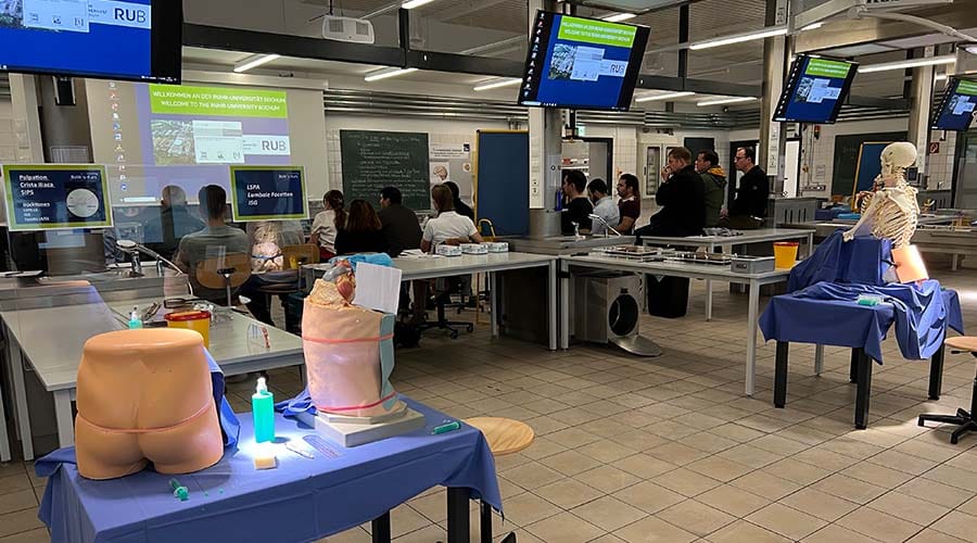 «Семинар по интервенционной терапии позвоночника» (BoWis-Course)Бохум, 1 - 2 сентября 2023