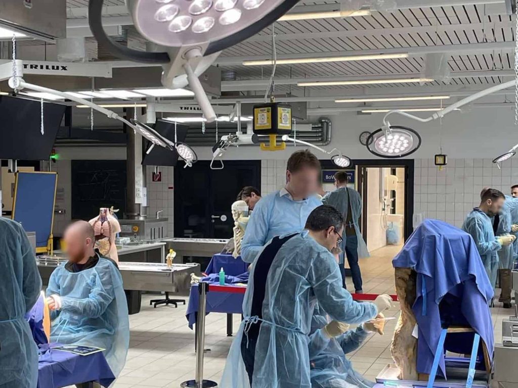 «Семинар по интервенционной терапии позвоночника» (BoWis-Course) Бохум, 24 и 25 февраля 2023