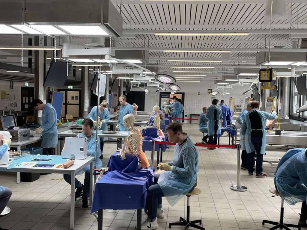 «Семинар по интервенционной терапии позвоночника» (BoWis-Course) Бохум, 24 и 25 февраля 2023