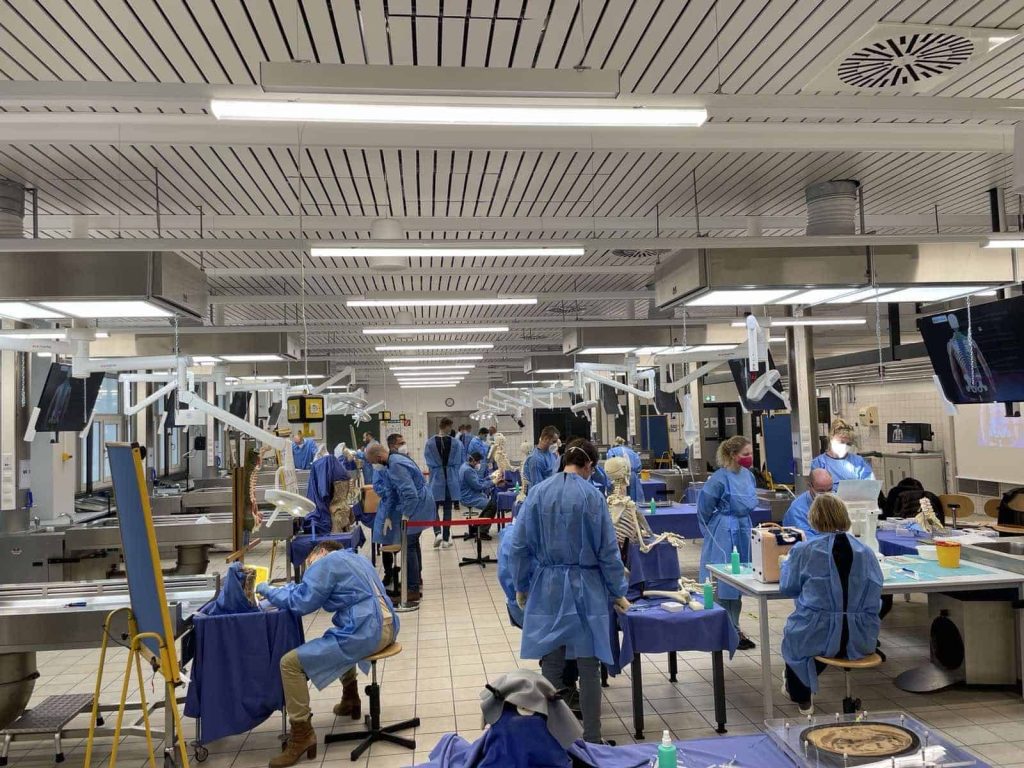 „Bochumer Wirbelsäulen Interventionskurs“ (BoWis-Kurs)Bochum, 23 - 24 September 2022