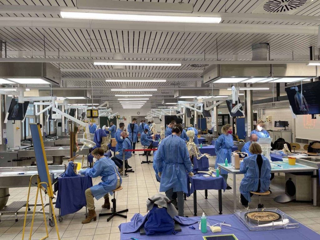 „Bochumer Wirbelsäulen Interventionskurs“ (BoWis-Kurs)Bochum, 23 - 24 September 2022