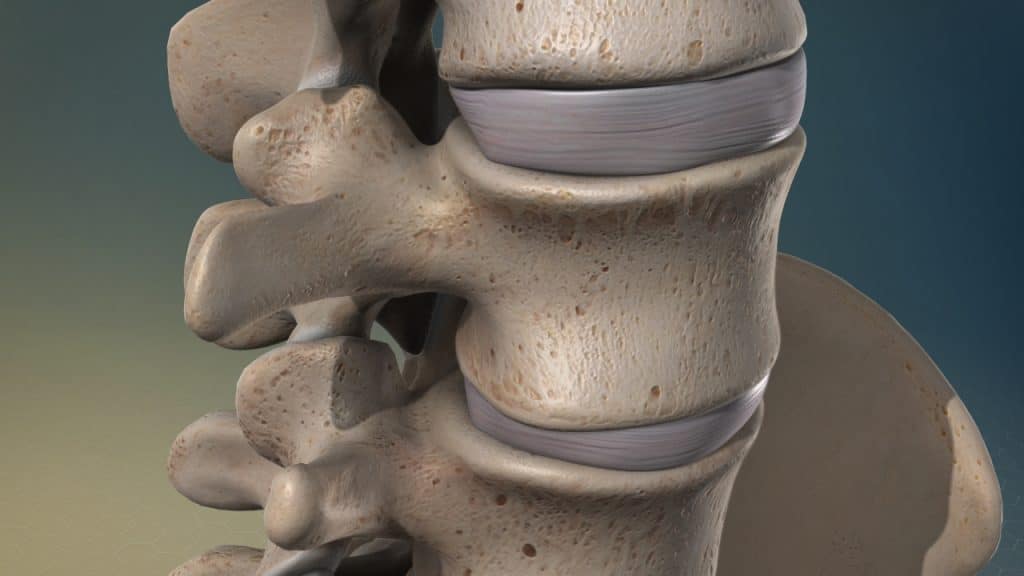 Здоровые поясничные позвонки