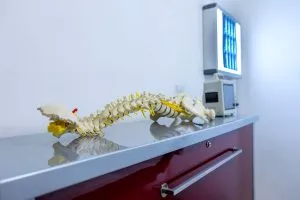 Consultant in Orthopaedics