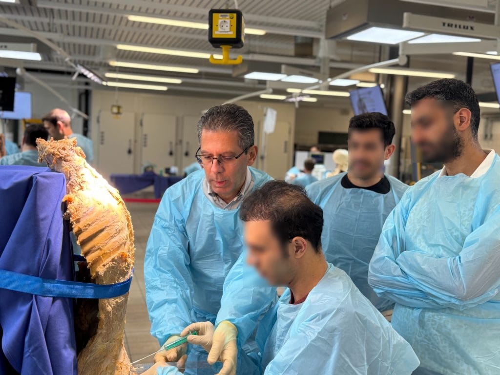 «Семинар по интервенционной терапии позвоночника» (BoWis-Course) Бохум, 29 - 30 aвгустa 2025